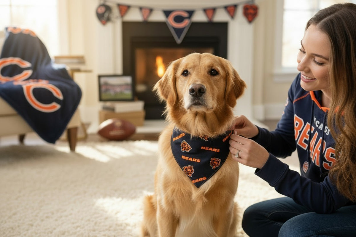 Chicago Bears Pet Bandana | Reversible Football Dog & Cat Bandana | Scrunchie Back | XS–XXL