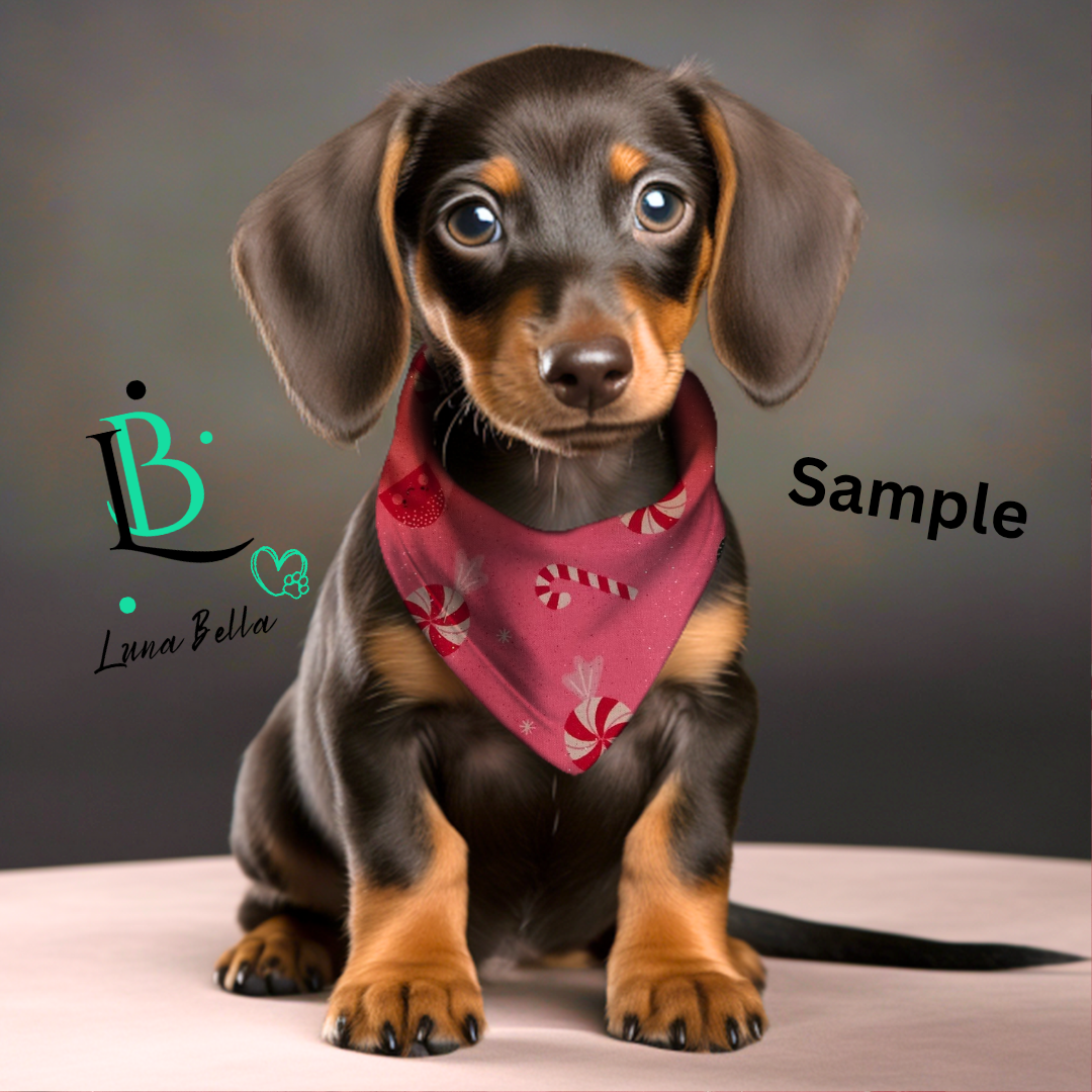 Pink Christmas Candy Scrunchie Back Pet Bandana | Dog & Cat Bandanas | Christmas & Everyday Pet Accessories (XS–XL)