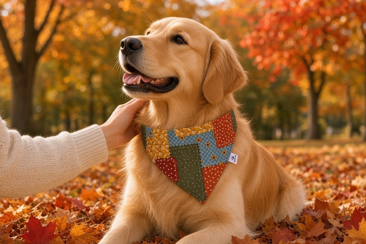 Fall Patchwork OTC Bandana
