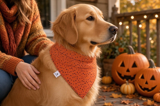 Orange with Black Dots OTC Bandana