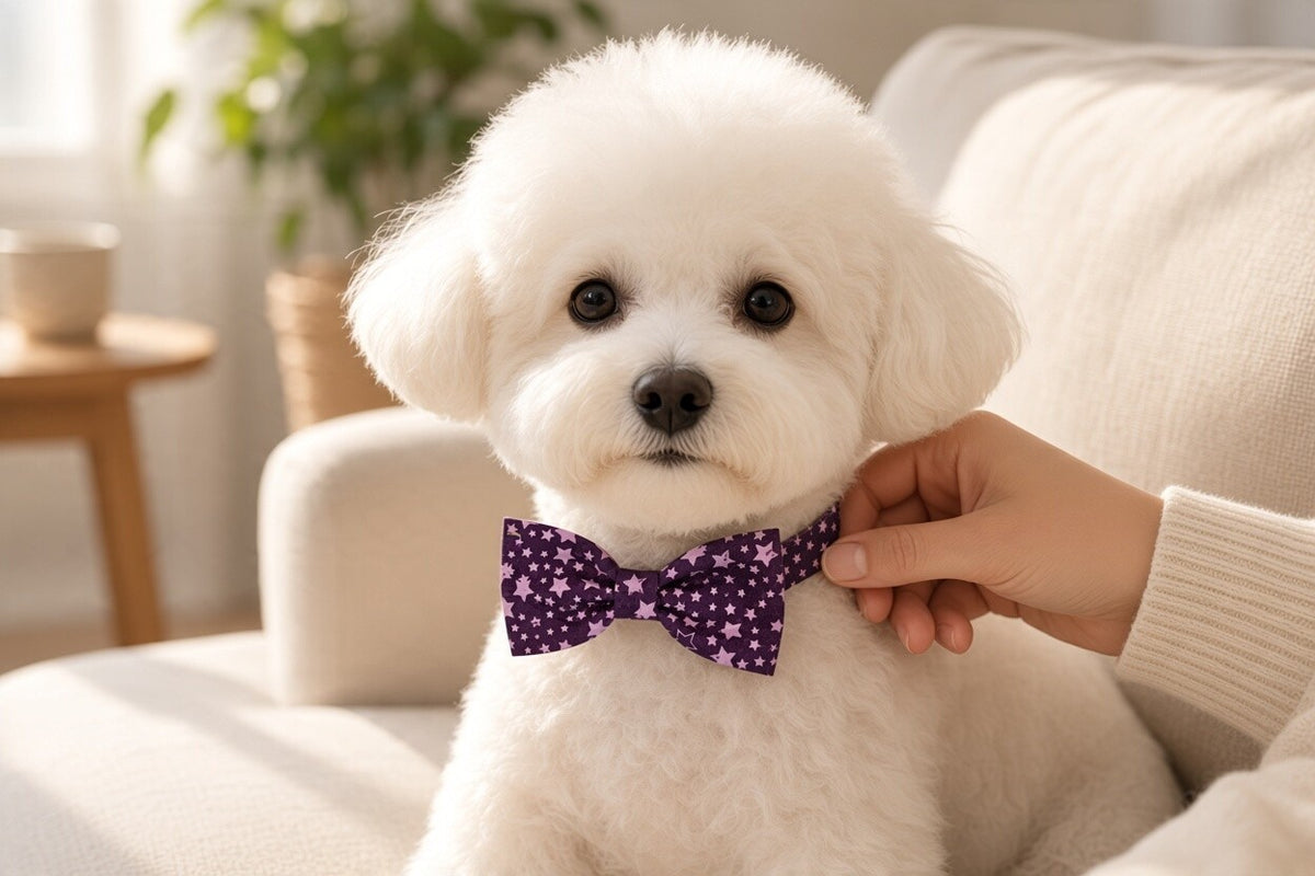 Purple Stars Bow Tie